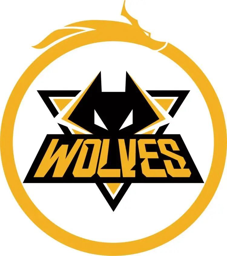 Blast公布第三届Slam赛事邀请名单，XG和Tidebound参赛